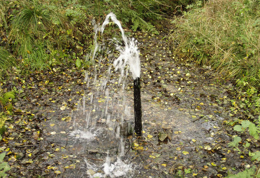 Springkilden, en ar Rold Skovs mange kilder